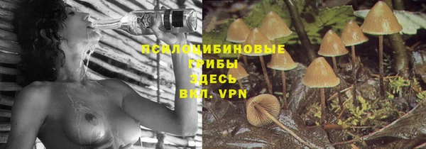 Альфа ПВП Козловка