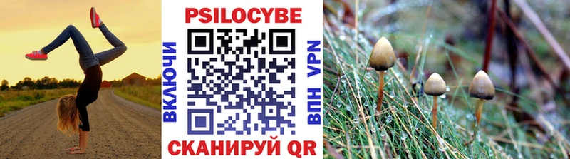 Псилоцибиновые грибы GOLDEN TEACHER  Купить где  Абдулино 